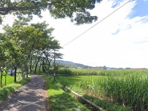 Jual Tanah Kebun di Lawang Malang: Lahan Subur Siap Kelola